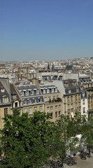 Fototapeta na wymiar aerialview of paris