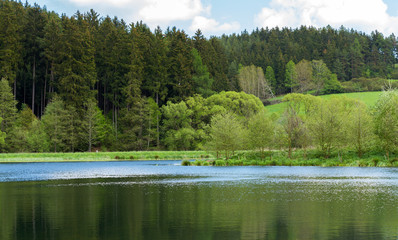 Beautiful spring landscape with small pond.