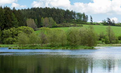 Beautiful spring landscape with small pond.