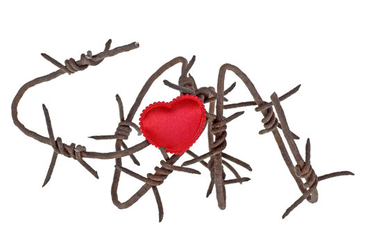 Red heart is hung on the barbed wire, white background