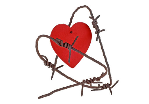 Red heart on barbed wire, white background