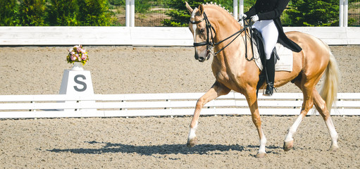 Elegant rider woman and horse. Beautiful girl at advanced dressage test on equestrian competition. Professional female horse rider, equine theme. Saddle, bridle, boots, other details.