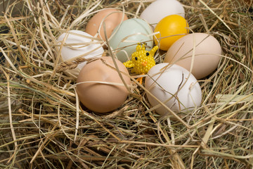 easter eggs in straw with chisel from beads