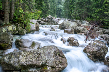 Naklejka na ściany i meble Mountain stream in High Tatras National Park, Slovakia, Europe.