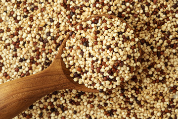Close up mixed of red , white and black quinoa seeds , gluten free superfoods with high protine , anioxidant and fiber