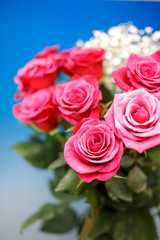 薔薇の花