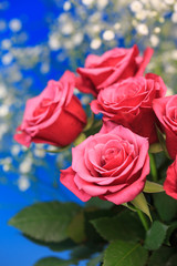 薔薇の花