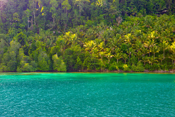 Togian Islands travel destination, Togean Islands scenic beach and coastline with lush green jungle in turquoise sea, Sulawesi, Indonesia.