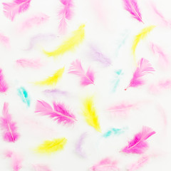 Texture made of bright colorful feather on white background. Flat lay. Top view. Creative concept.