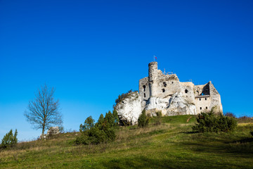 Fototapeta na wymiar Castle in Mirow on the Jura Krakowsko-Czestochowska, Poland