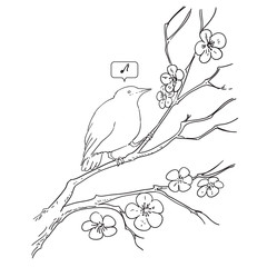 sakura branch bird black and white sketch cartoon doodle vector illustration