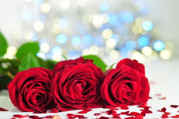 Obraz na płótnie Canvas Three Roses on light background for valentine, wedding, birthday and for love.