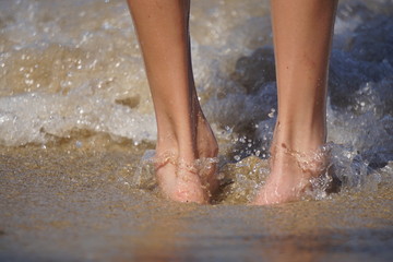 The legs of the sea shore