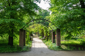 Pergola in the Botanical garden. On a Sunny summer day.