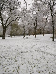 Snow in Hamburg, Germany