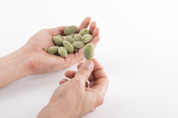 green almond white background