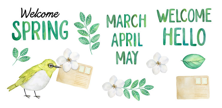 Springtime water color collection. Hand drawn letters, phrases and month names, white blooming flowers, grass greenery, paper envelope with stamps. Decorative isolated elements on white background.