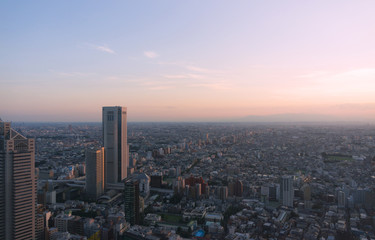 Fototapeta na wymiar 東京風景　トワイライト