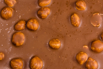 Background of the dark chocolate with a hazelnuts