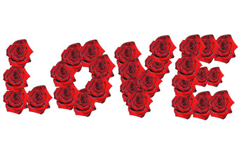 Word love of red roses on the white background isolated.