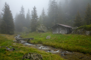 Aph&uuml;tte