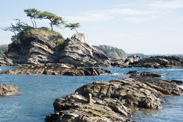 荒崎海岸　弁天島