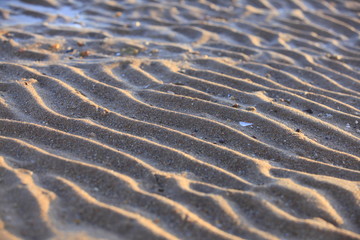 The texture of beach sand