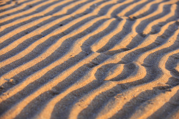 The texture of beach sand