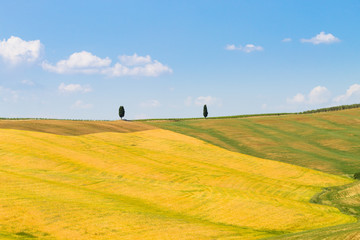 Tuscany hills landscape, Italy