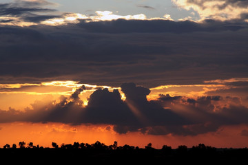 Decline in the Negev desert