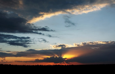 Decline in the Negev desert