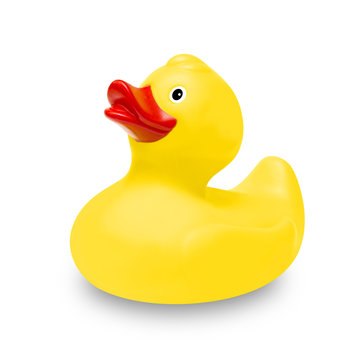 Yellow rubber duck. Toy for children.