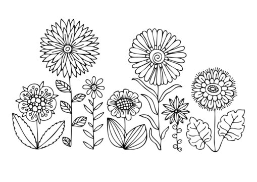 Hand drawn flowers. Sketch for anti-stress adult coloring book in zen-tangle style. Vector illustration for coloring page, isolated on white background.