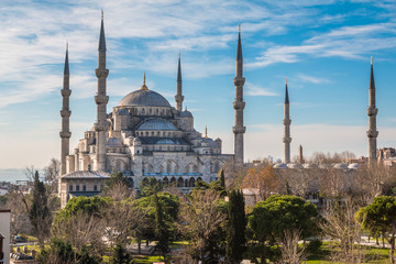Fototapeta na wymiar Nice view of the Blue Mosque in Istanbul