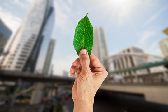 Man hand holding green leaf on blurred city background, envionmental concept