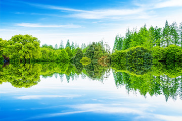 A beautiful forest by the river © zhouyilu