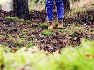 Wanderlust