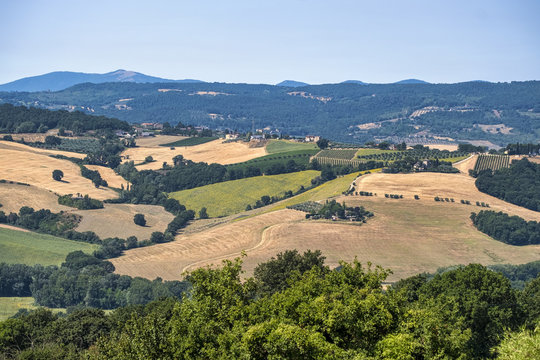 Landscape in Umbria near Todi