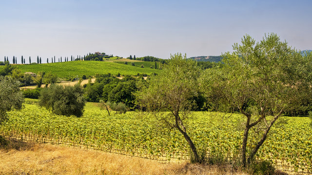 Landscape in Umbria near Todi