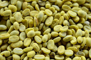 Green coffee beans