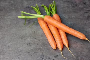 Vier ungeschälte Karotten mit Grün auf einem grauen Hintergrund