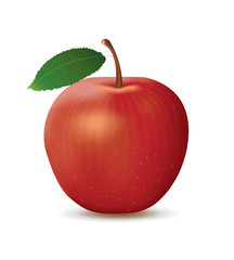 Red apple. vector illustration