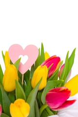 Bouquet of yellow and red fresh spring tulips isolated on white background