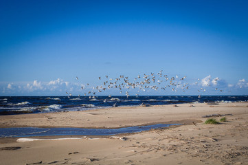 wavy on the Baltic Sea