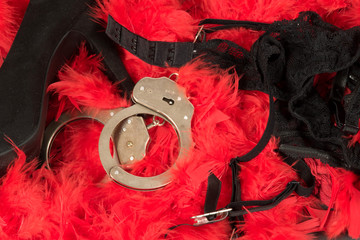 High Heels, Handschellen und Dessous auf einer Vorlage aus roten Federn