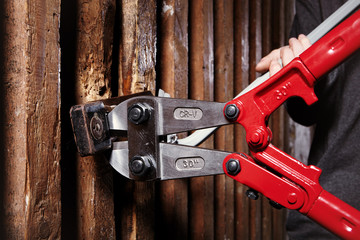 Two teenage burglars breaking in basement cellar with 30 inch bolt cutters