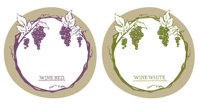 Vine label with grapes / Vector illustration, set floral design element