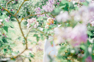 Young cute pretty blonde cinderella model girl in white dress tilt shift soft portrait. Beautiful happy girl enjoying flowers in spring blooming lilac garden. Fairy tale and fantasy child memories.