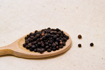 soft focus of spicy black pepper seeds on a wooden spoon (piper nigrum - piperaceae - piperales)