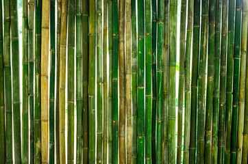 Rideaux tamisants Bambou Le bambou vert fait pour le mur de la maison.